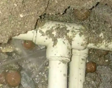 皇姑测漏水多少钱