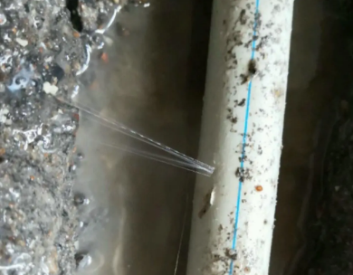 皇姑测漏水哪家好