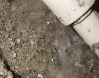 皇姑测漏水电话号码