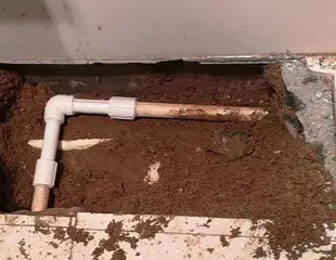 皇姑测漏水哪家好