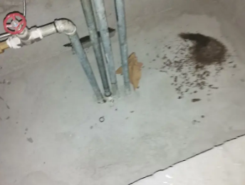 皇姑卫生间测漏水价格明细