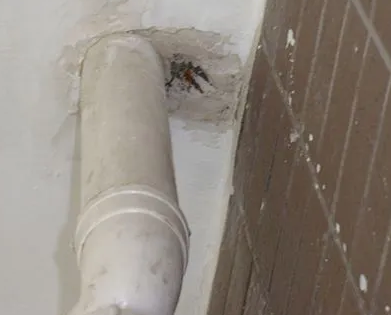 皇姑漏水检测哪家好